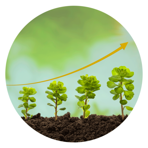 BERATUNG FÜR KMU, STARTUPS UND FREIBERUFLER: PSC EUROPEAN CONSULTING STEHT AN IHRER SEITE BERATUNG FÜR KMU, STARTUPS UND FREIBERUFLER: PSC EUROPEAN CONSULTING STEHT AN IHRER SEITE